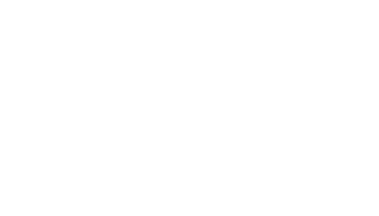 Mobilni Barmani